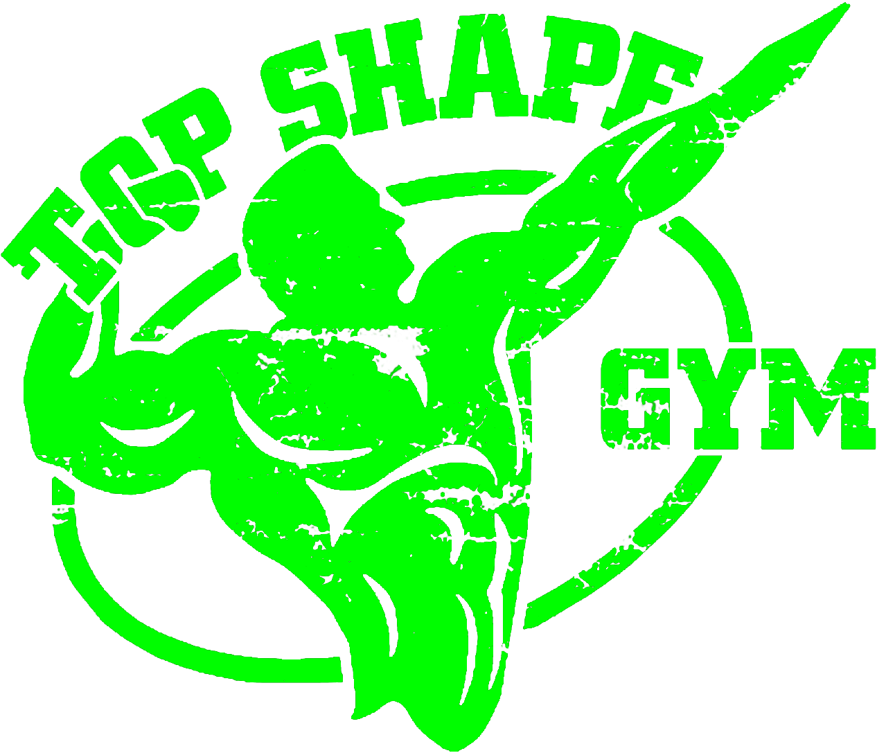 Top Shape Gym Datashare 1